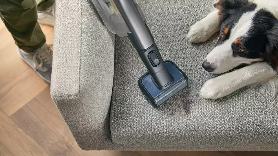 Osoba odkurza szarą sofę. W pobliżu leży pies.