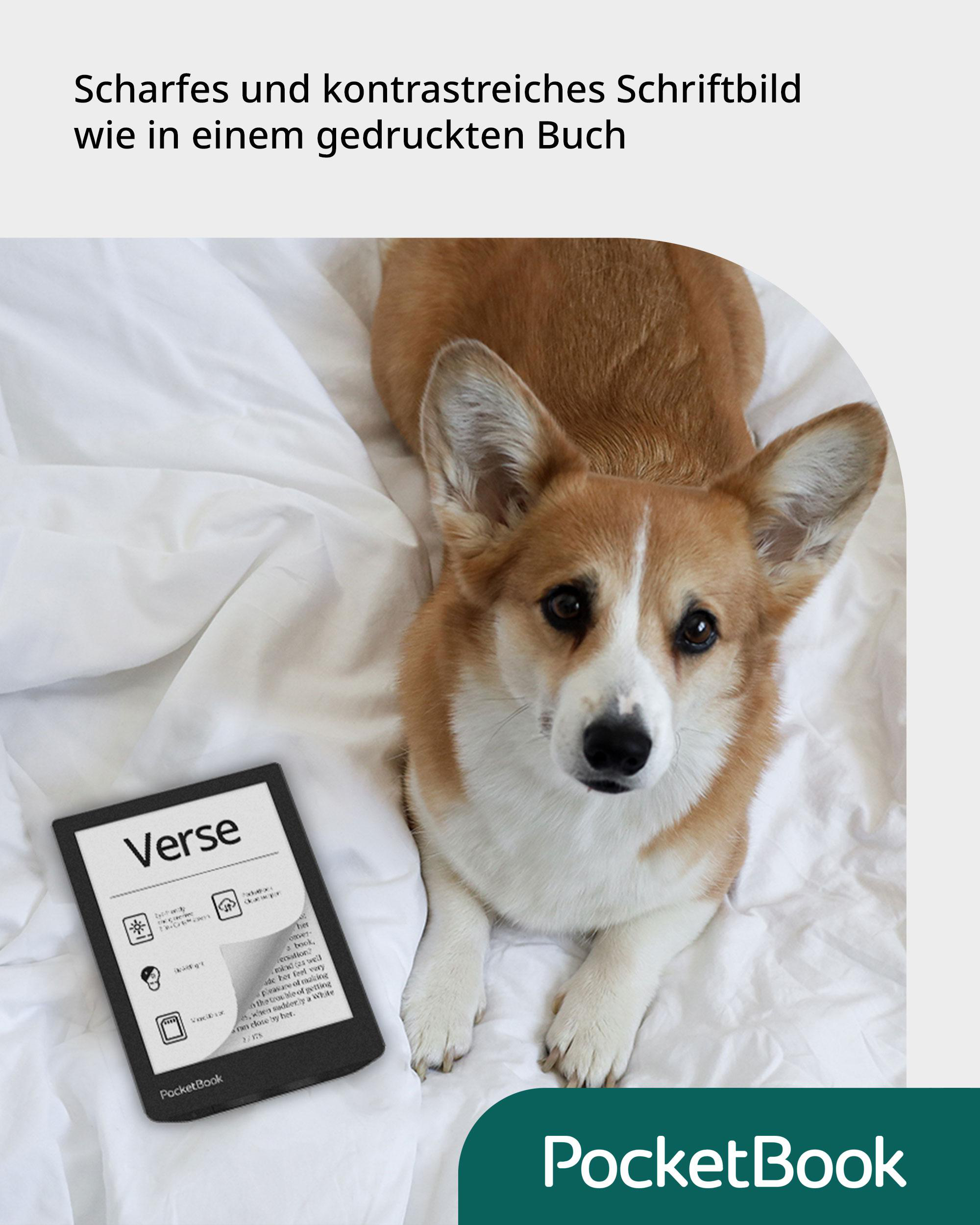 Ein Corgi-Hund liegt auf einem Bett mit einem PocketBook-E-Reader. Text auf Deutsch ist oben.