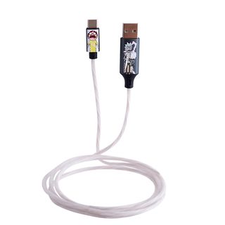 Cable - Nacon BigBen Rick and Morty USB A/USB C, Luminoso, 1.2 metros, Verde