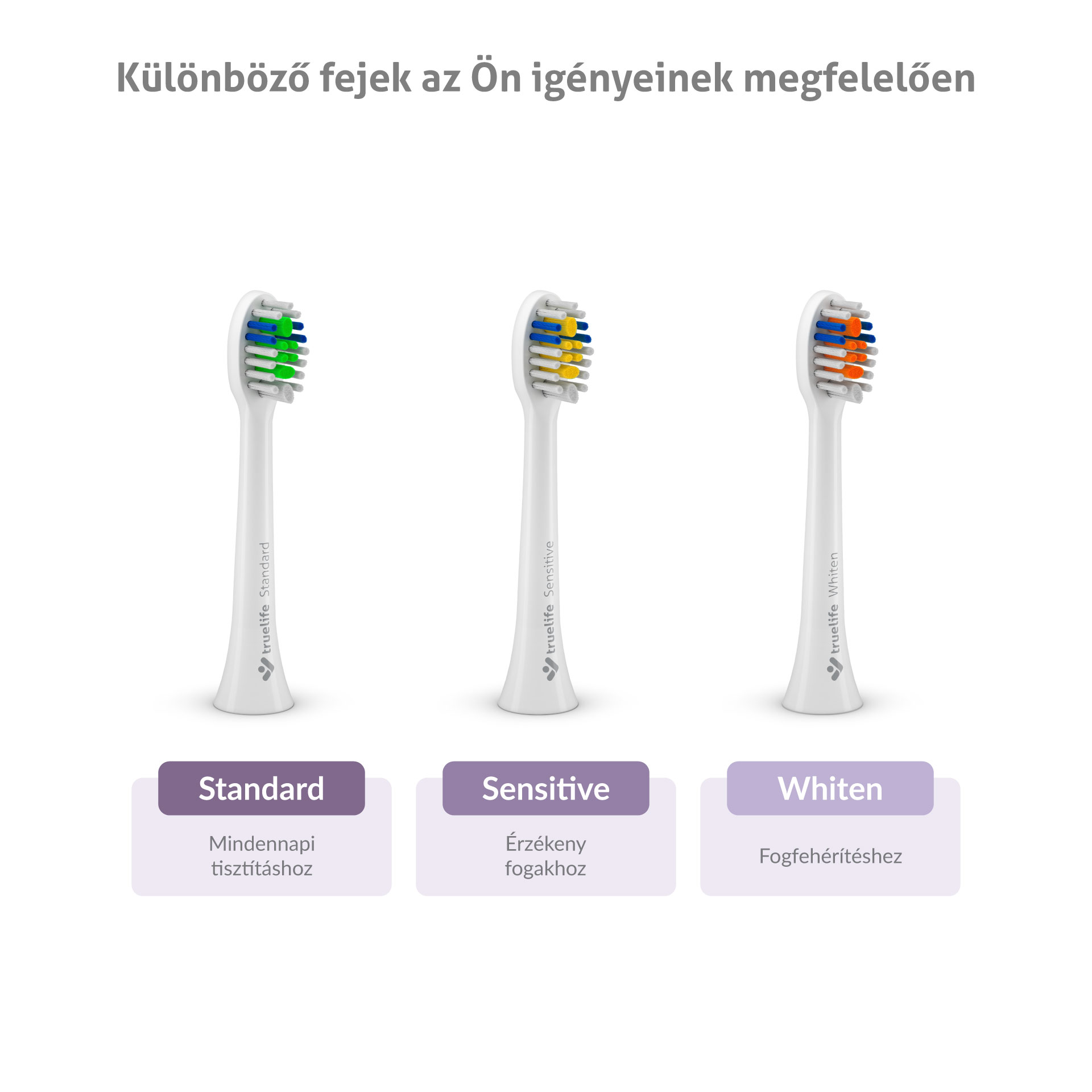 Három fogkefefej különböző színű sörtékkel és címkékkel.