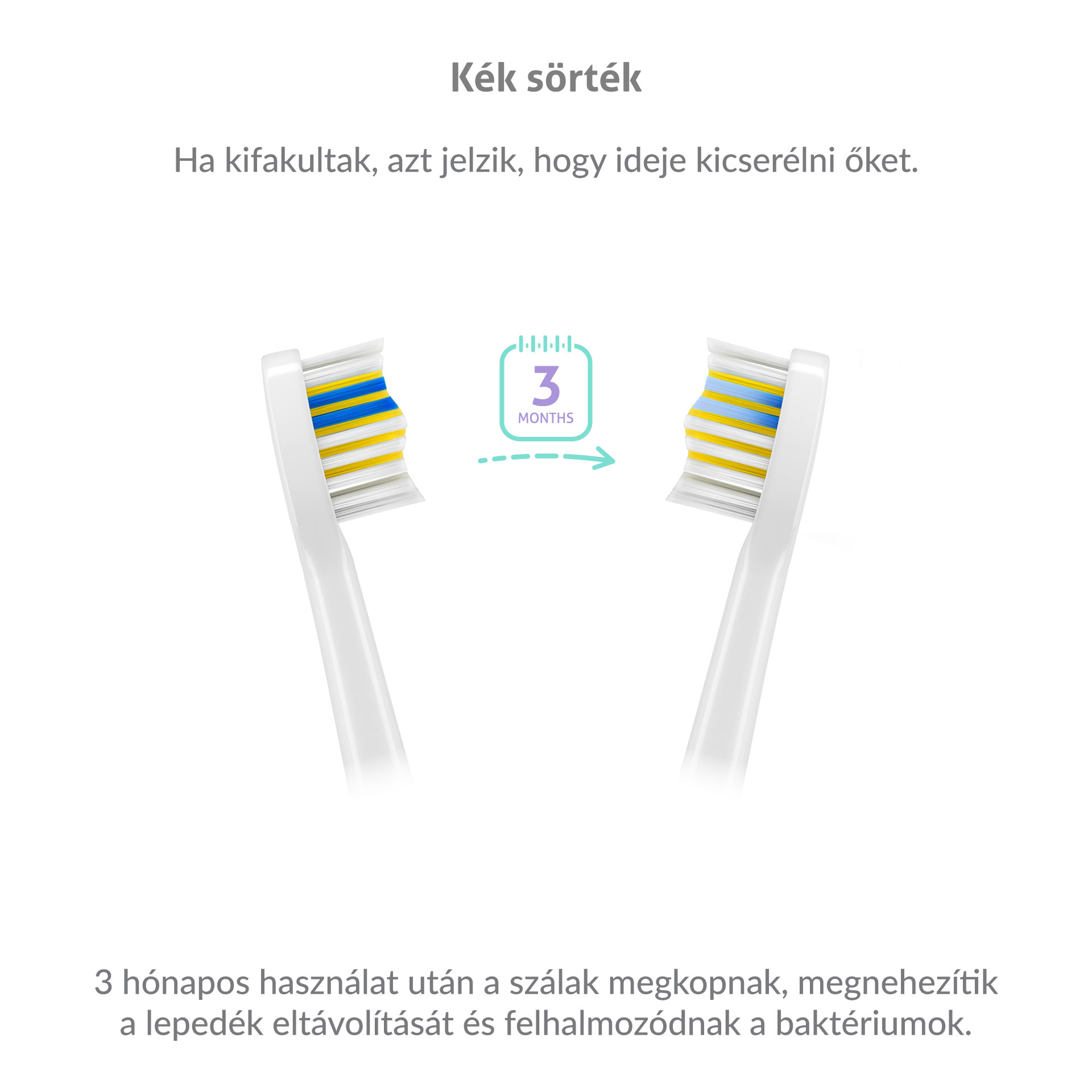 Két fehér fogkefefej. A szöveg azt jelzi, hogy három havonta ajánlott a csere.
