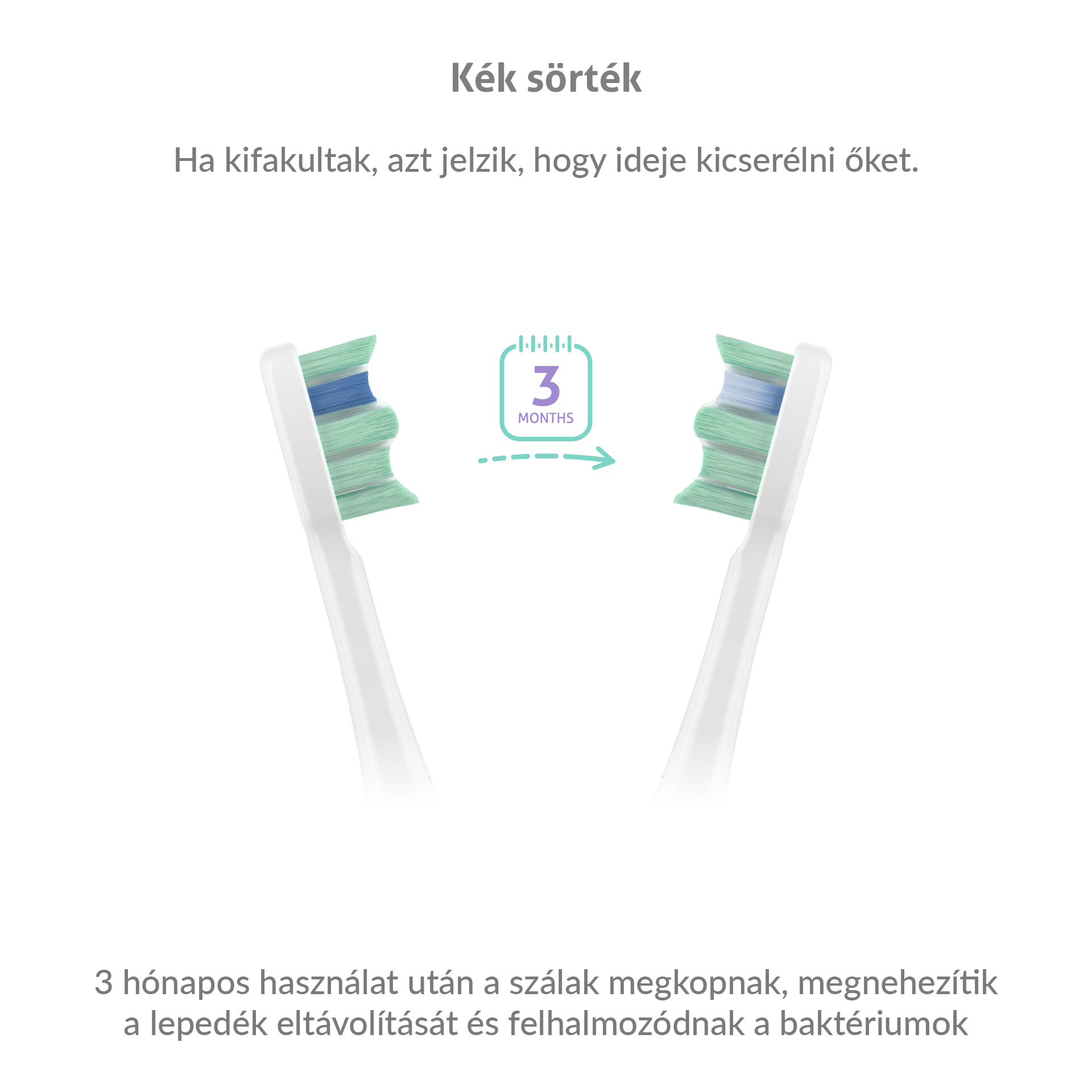 Két fogkefefej, szöveggel, amely jelzi, hogy 3 hónap után ki kell cserélni őket.