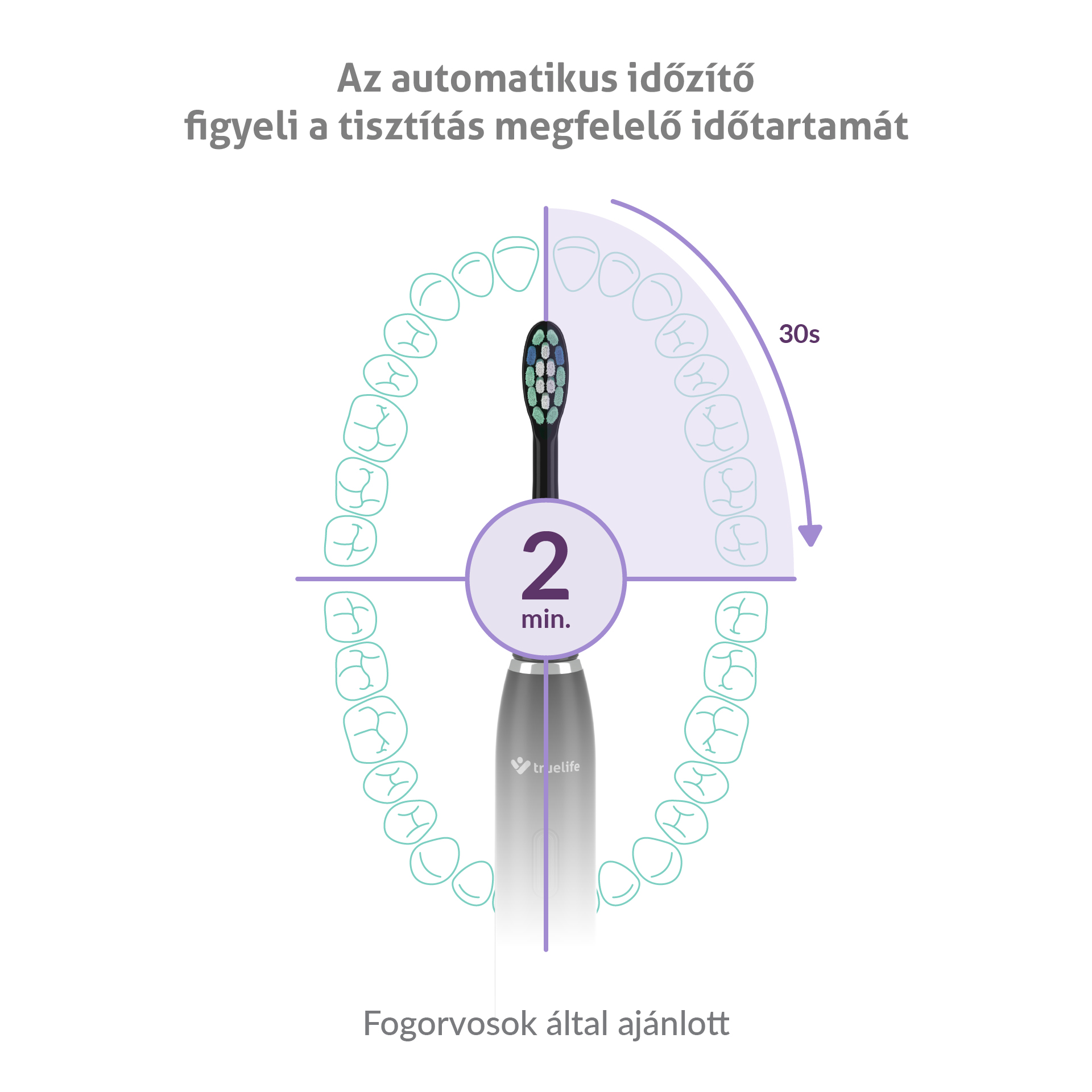 Diagram a helyes fogmosási időről, 2 perc, és a száj szekcióiról.