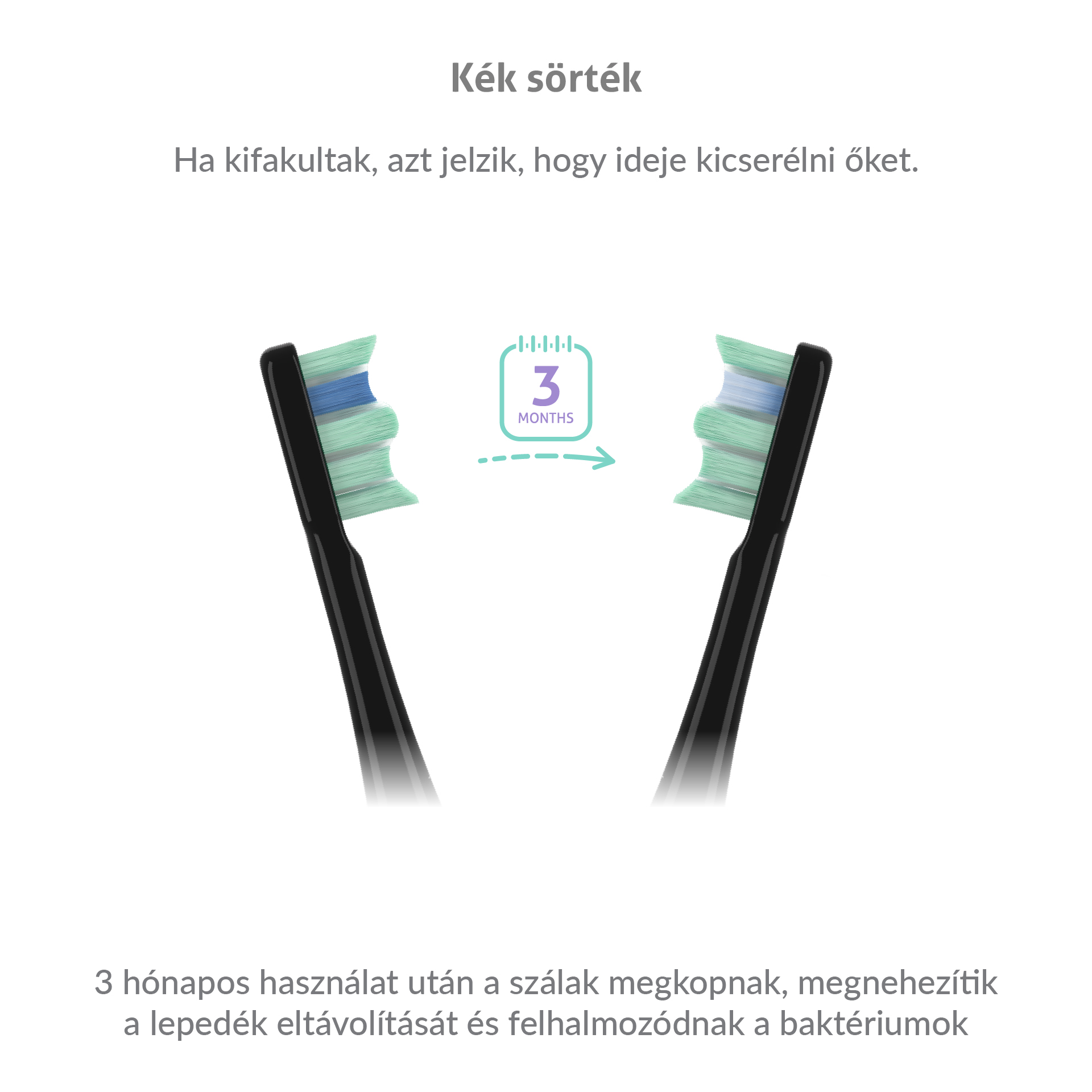 Két fogkefefej: zöld sörték, fekete nyél. A szöveg 3 hónap használat utáni cserét sugall.