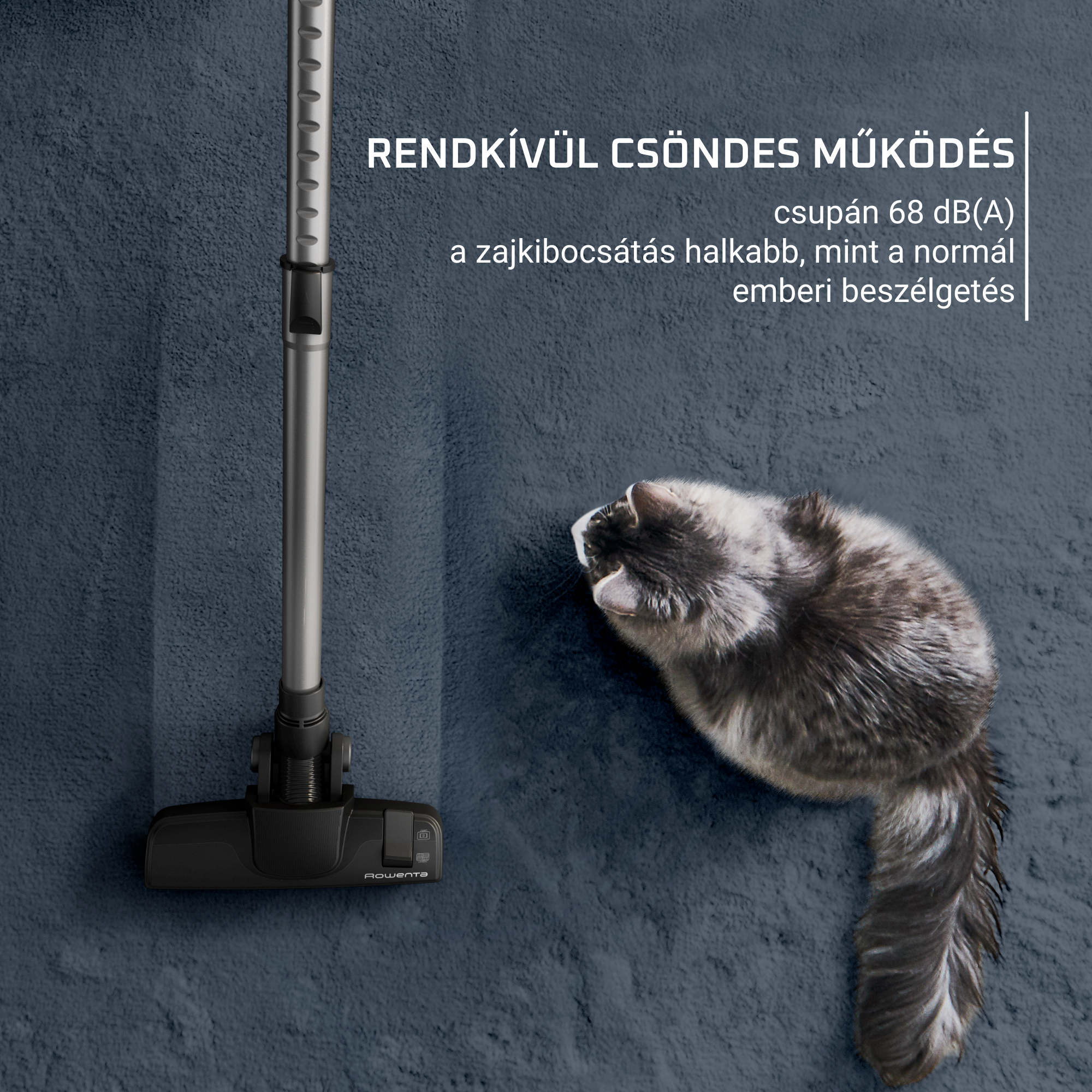 Porszívó és egy macska kék szőnyegen. A szöveg: RENDKÍVÜL CSÖNDES MŰKÖDÉS.