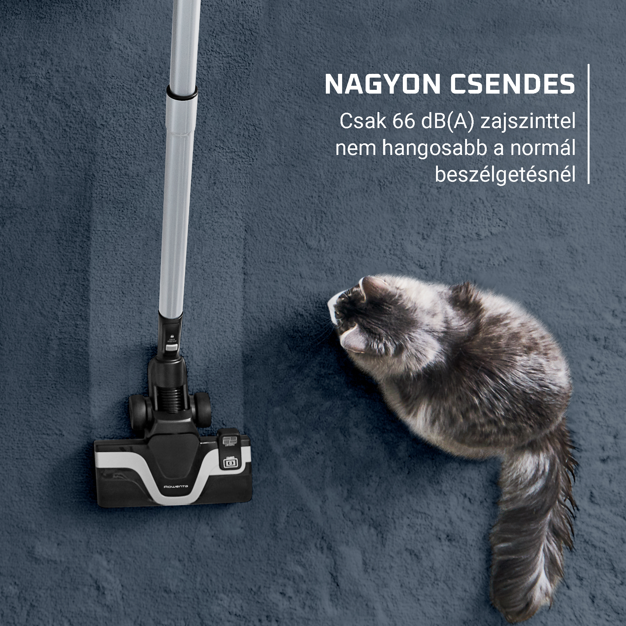 Porszívófej kék szőnyegen, közelben macskával. Szöveg: Nagyon csendes, csak 66dB(A), nem hangosabb a normál beszélgetésnél.