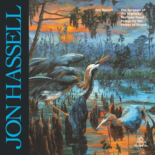 Jon Hassell - The (Vinyl) the - Nightsky of Surgeon
