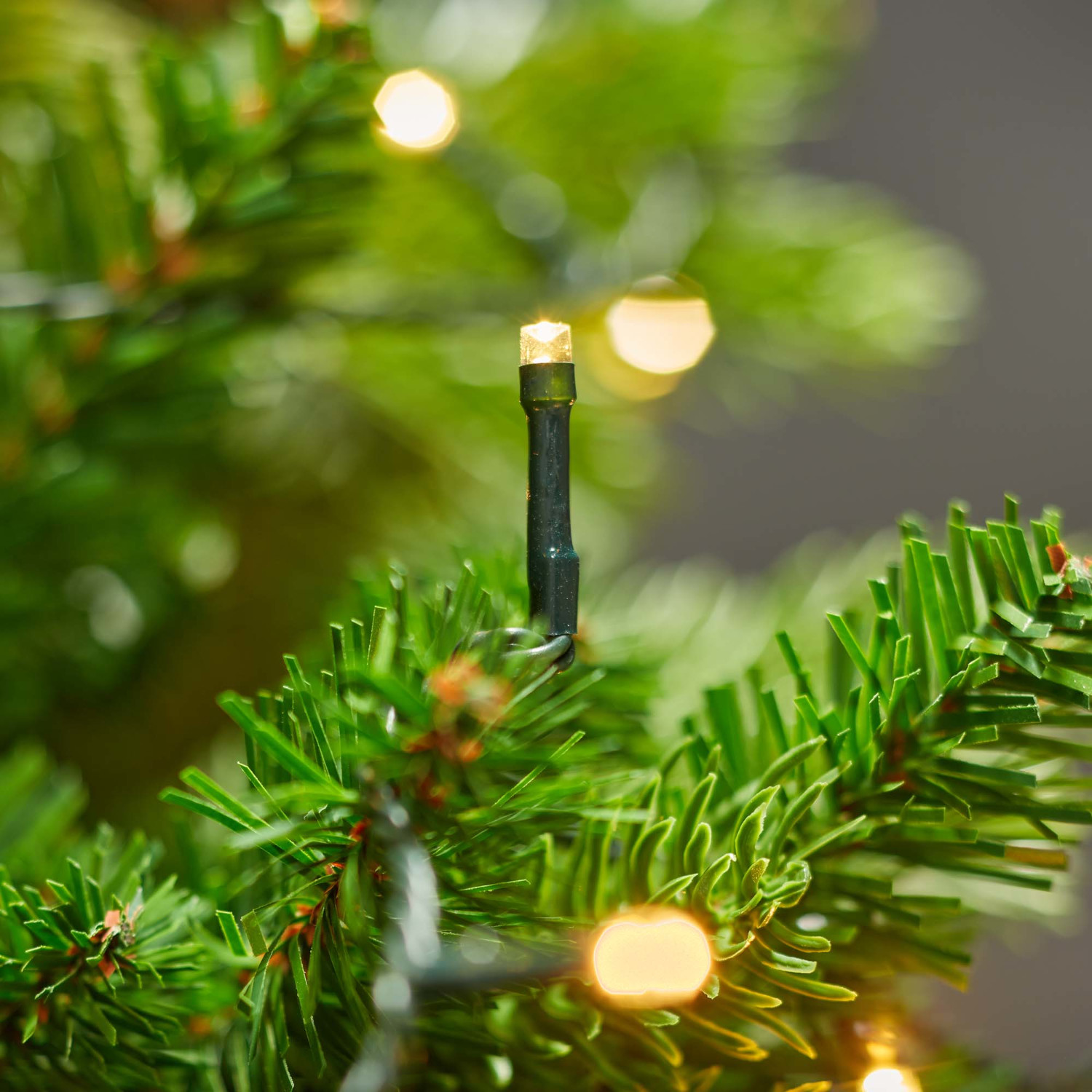Close-up van een kerstboom met groene naalden en een enkele gloeilamp.