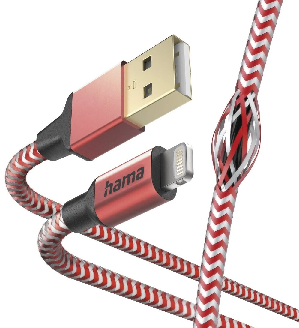 Ręce osoby trzymające telefon i mały aparat. Telefon wyświetla zdjęcie.