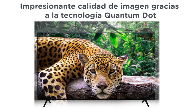 Pantalla de TV mostrando un jaguar. Texto en español dice 'Impresionante calidad de imagen'. Fondo blanco.