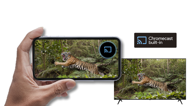 Un teléfono refleja un video de un tigre en una pantalla de TV, mostrando el logo de Chromecast.