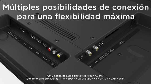 Puertos de TV en la parte posterior, con texto en español. Múltiples posibilidades de conexión.