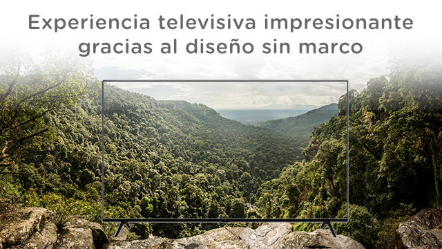 Pantalla de TV mostrando un paisaje con bosque y montañas. El TV no tiene marco.