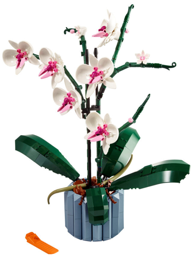 Roślina orchidei LEGO z białymi i różowymi kwiatami w niebieskiej doniczce.