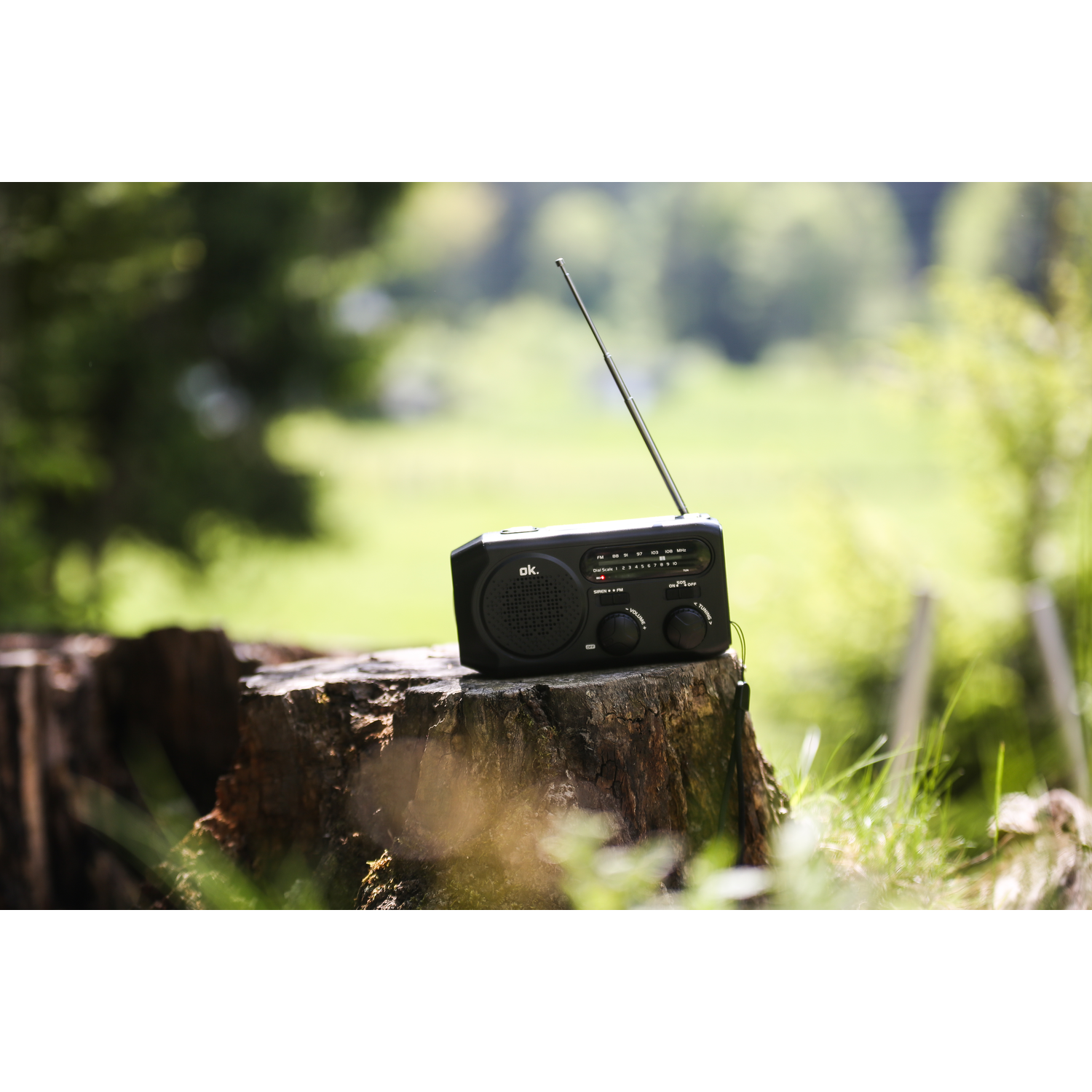 Zwarte radio op een boomstronk in een vage groene bos. De radio heeft knoppen en een antenne.