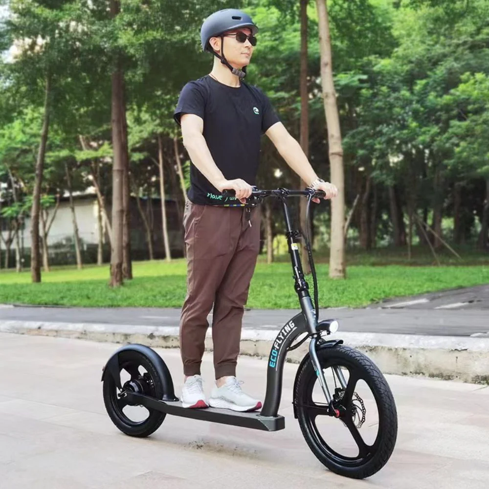 Hulajnoga elektryczna MANTA MES2003J Big City Rider