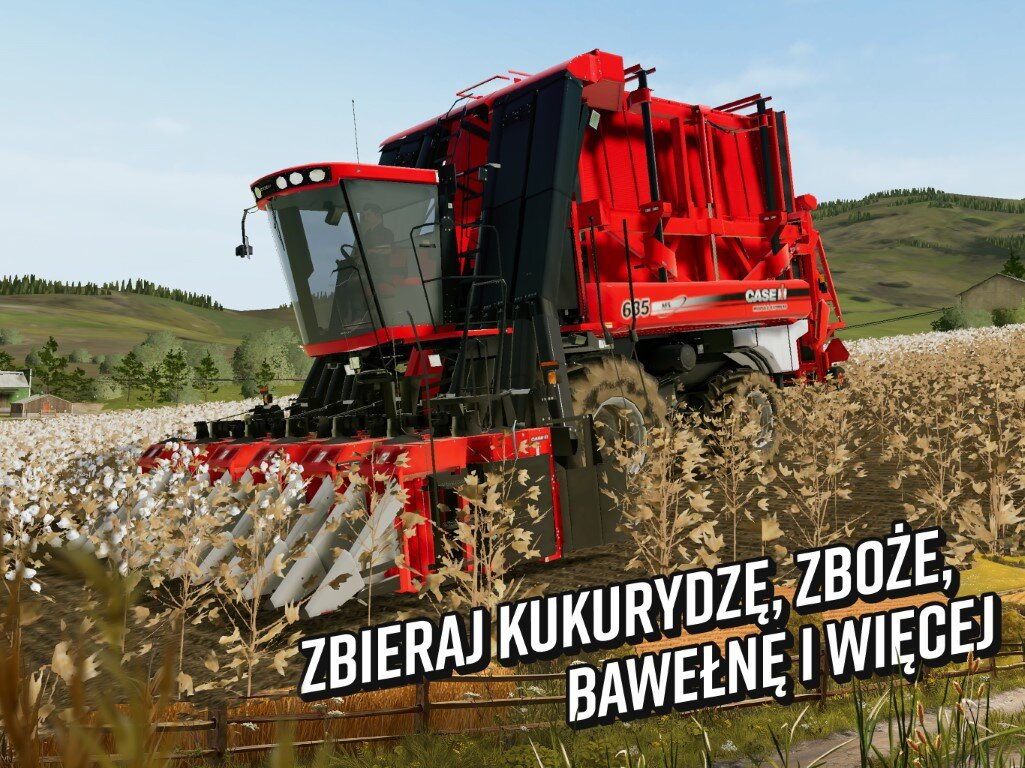 Czerwony kombajn bawełniany zbierający bawełnę na polu pod błękitnym niebem.
