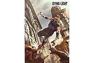 Puzzle GOOD LOOT Dying Light Crane's Fight