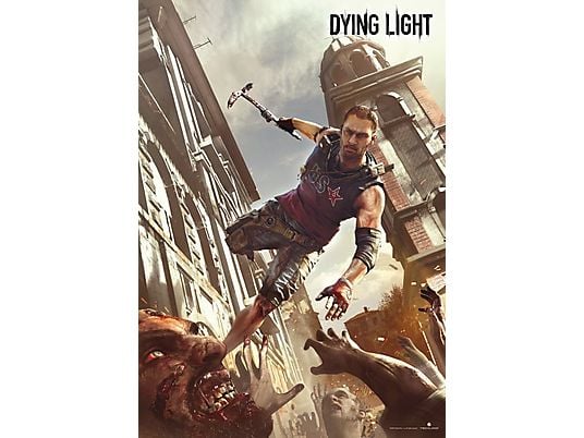 Puzzle GOOD LOOT Dying Light Crane's Fight