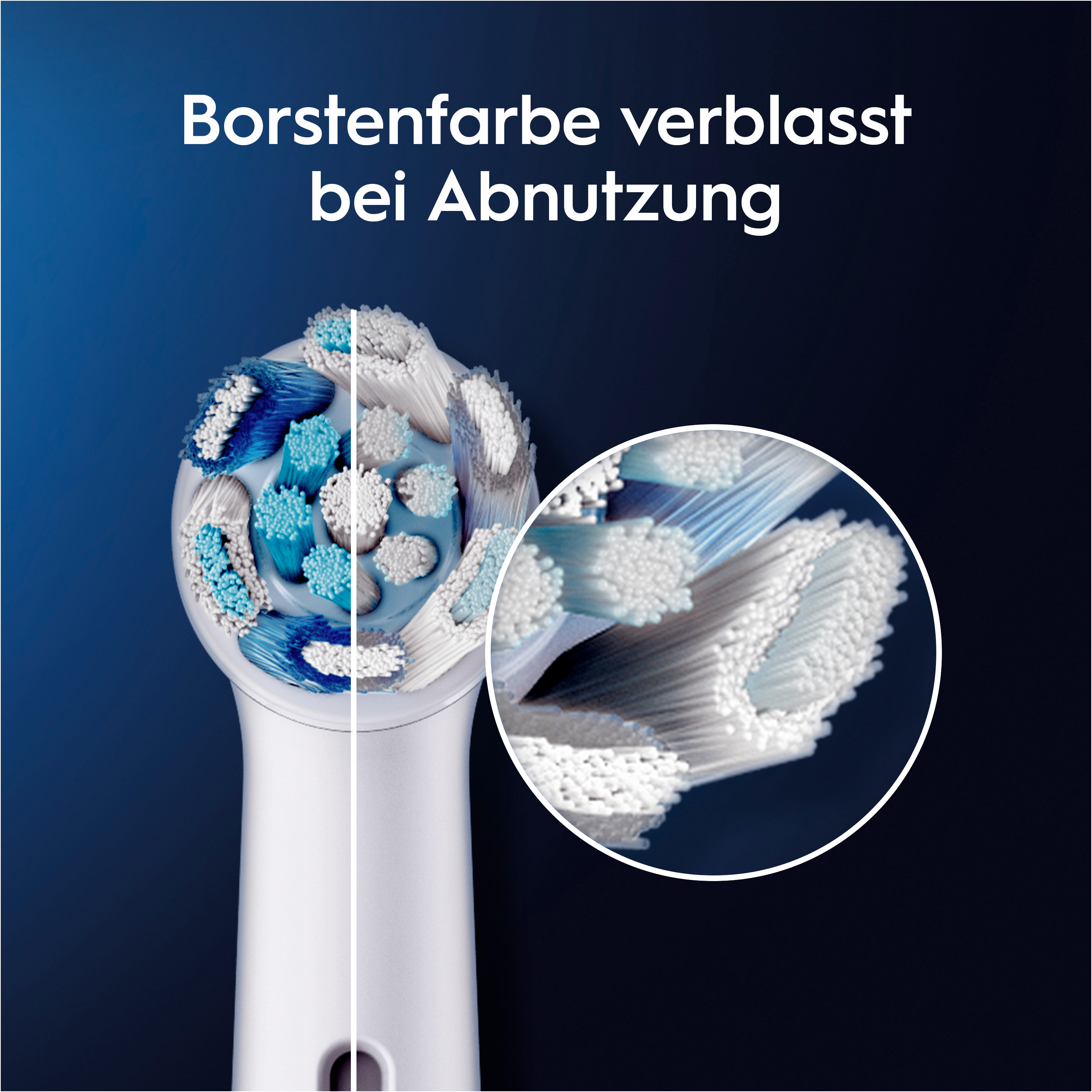 Gros plan sur une tête de brosse à dents, montrant l'usure des poils. Soies bleues et blanches.