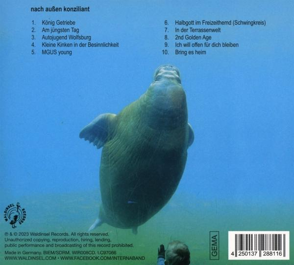 Ein Buchcover mit einem Walross im Wasser, Text und einer kleinen Person. Blauer Hintergrund.