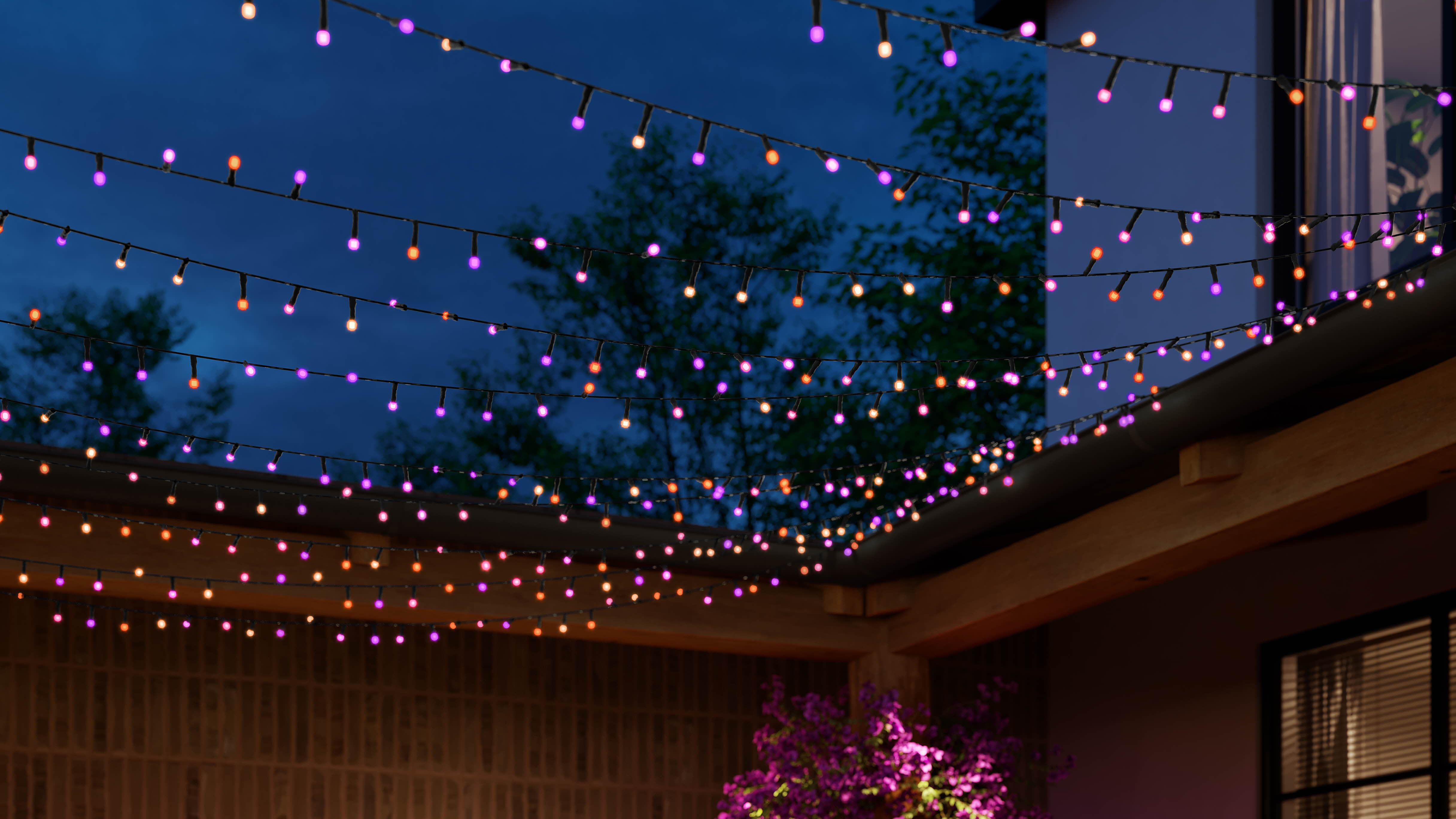 Außenszene bei Nacht mit Lichterketten in Lila und Orange.