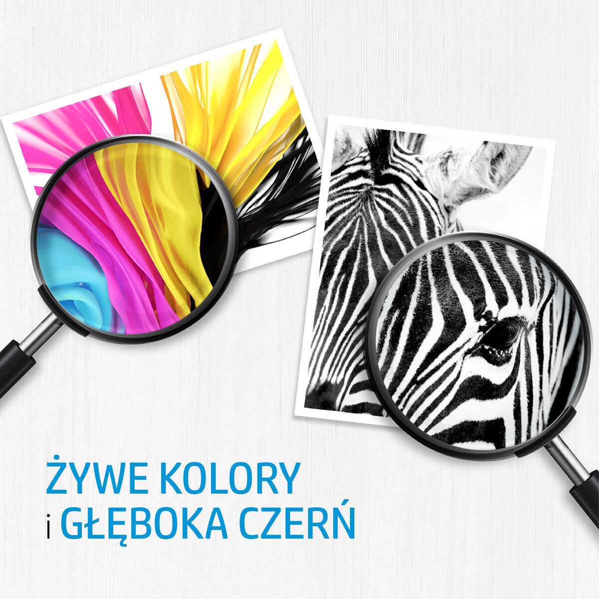 Dwa obrazy z lupami. Jeden pokazuje kolorowy wydruk, drugi zebrę. Tekst: Żywe kolory i głęboka czerń.