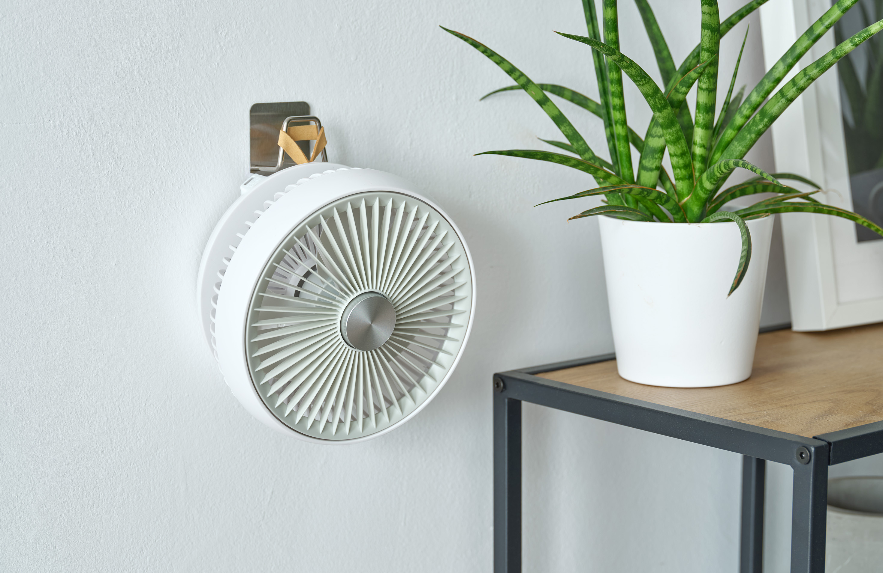 Fehér, kerek ventilátor a falra szerelve. Egy zöld növény fehér cserépben mellette, egy fa polcon.
