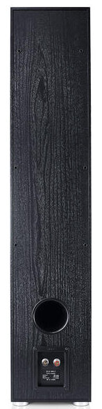 Kolumna CANTON GLE 496.2 Czarny