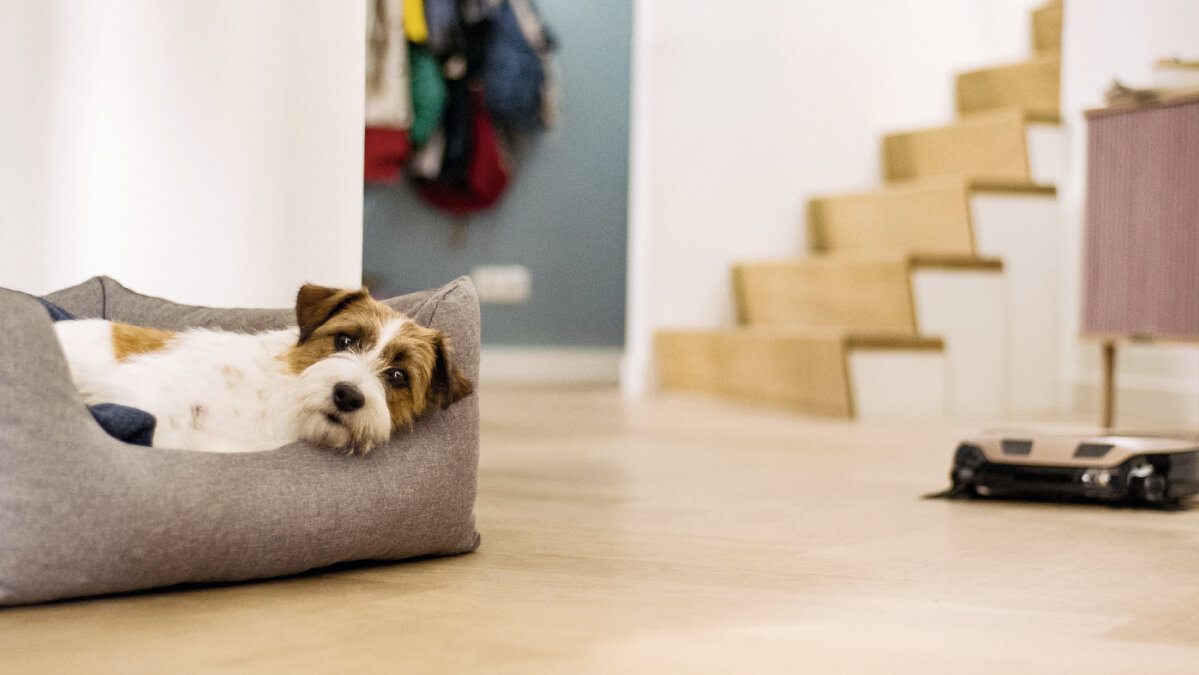 Robot odkurzający MIELE Scout RX3 HomeVision