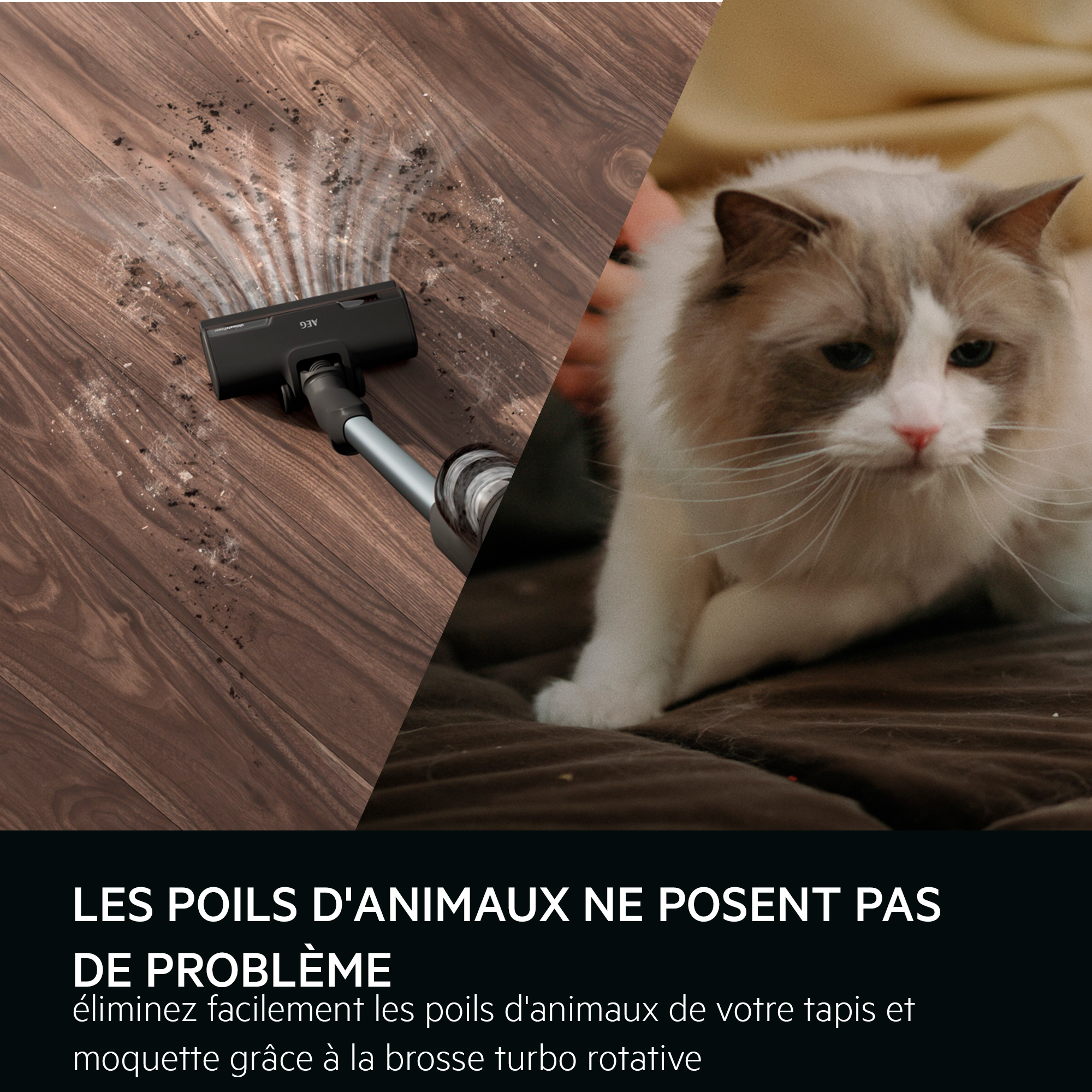 Un aspirateur nettoie un plancher en bois. Un chat est assis sur un lit.