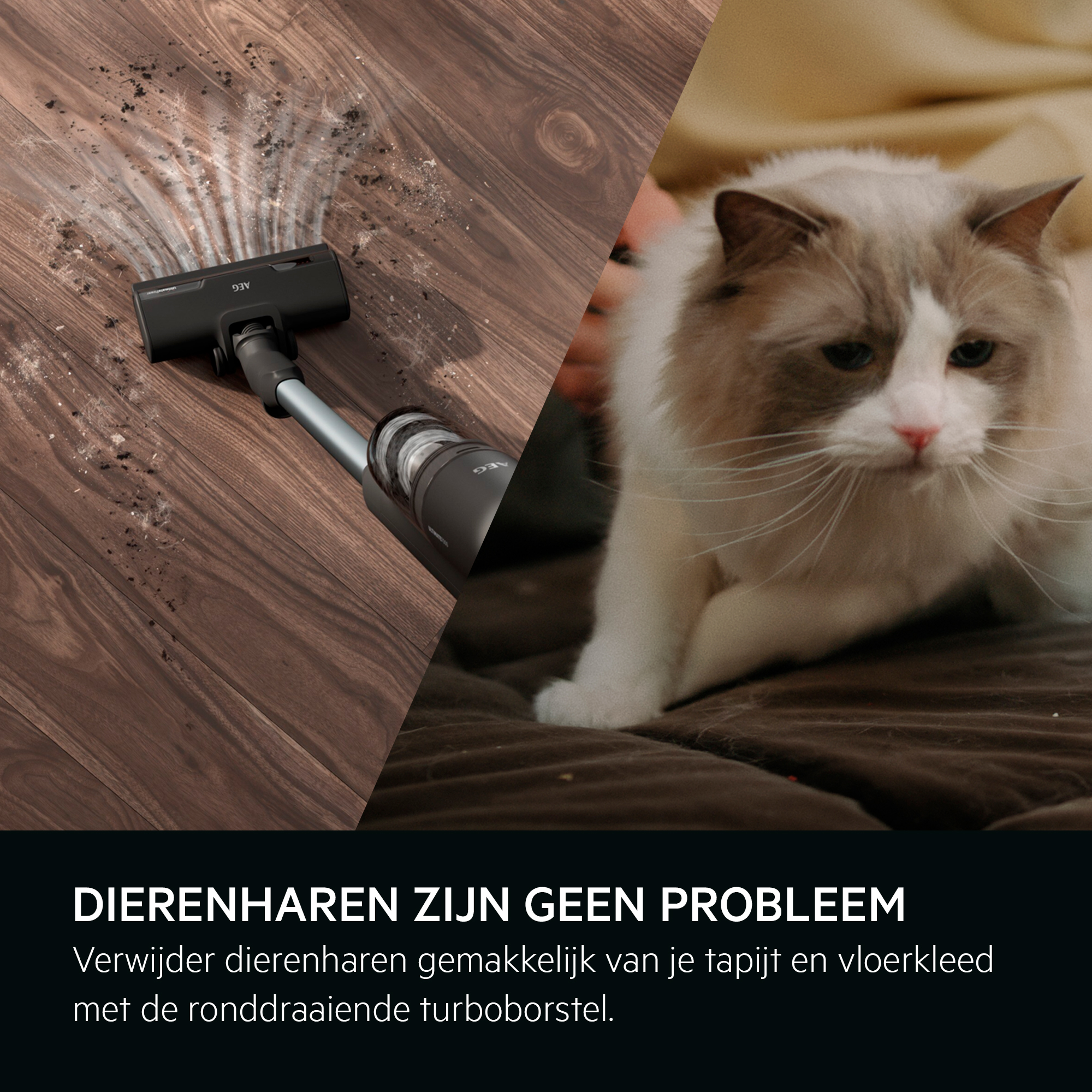 Vacuuming a wooden floor, a cat is in the background. Text: Animal hairs are not a problem.