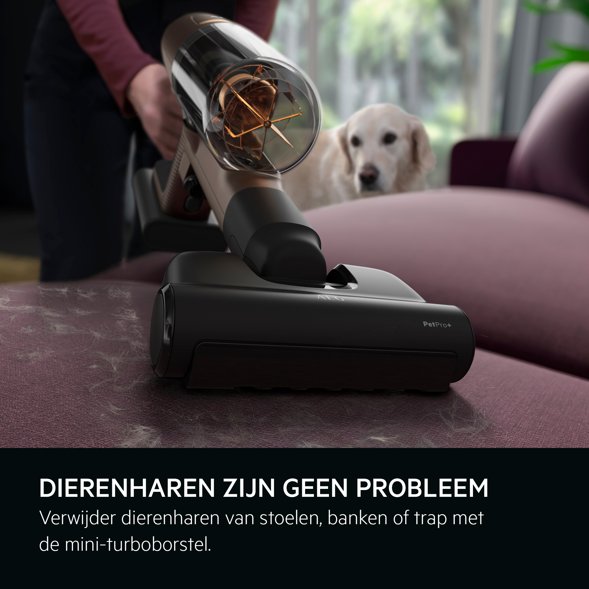 A vacuum cleaner head cleans a sofa. A dog is in the background. The head is black with PetPro+ text.