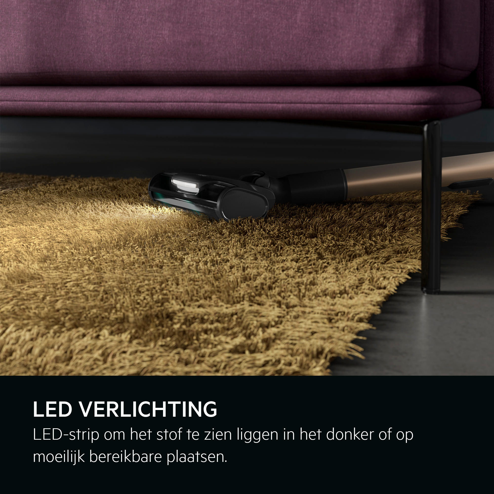 Vacuum cleaner head on a carpet with a purple couch in the background.