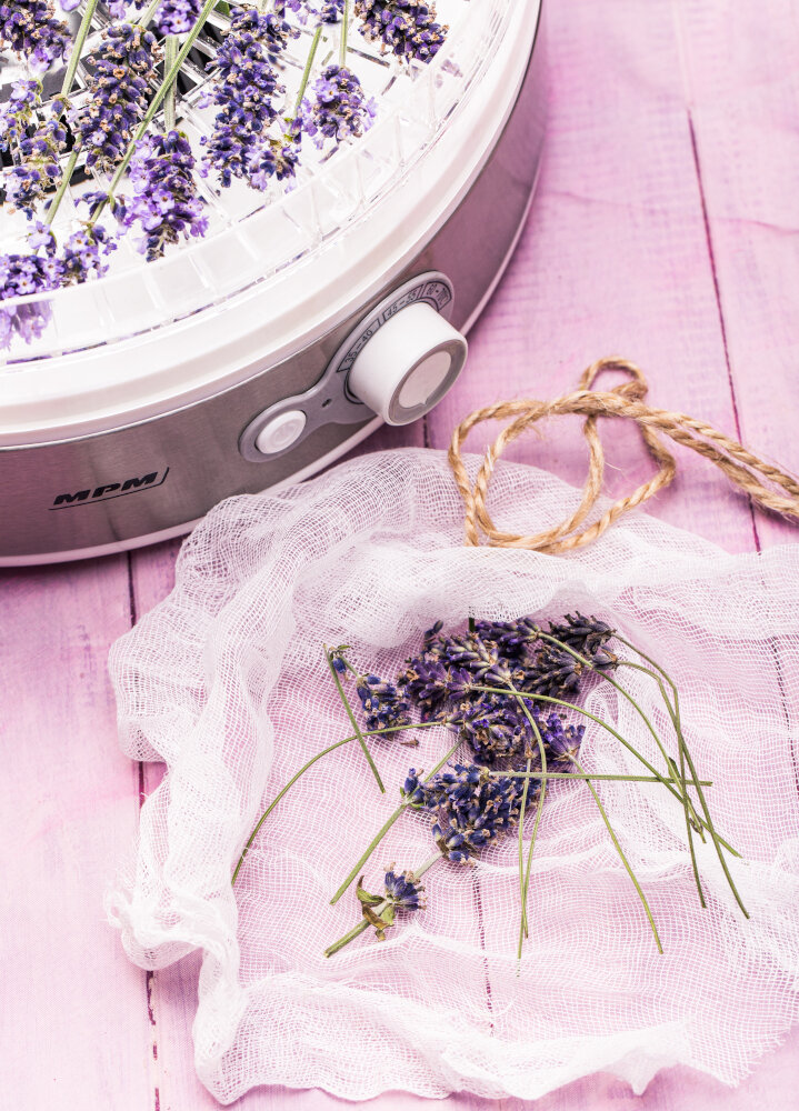 Kwiaty lawendy suszące się w dehydratorze i biała szmatka na różowym stole.