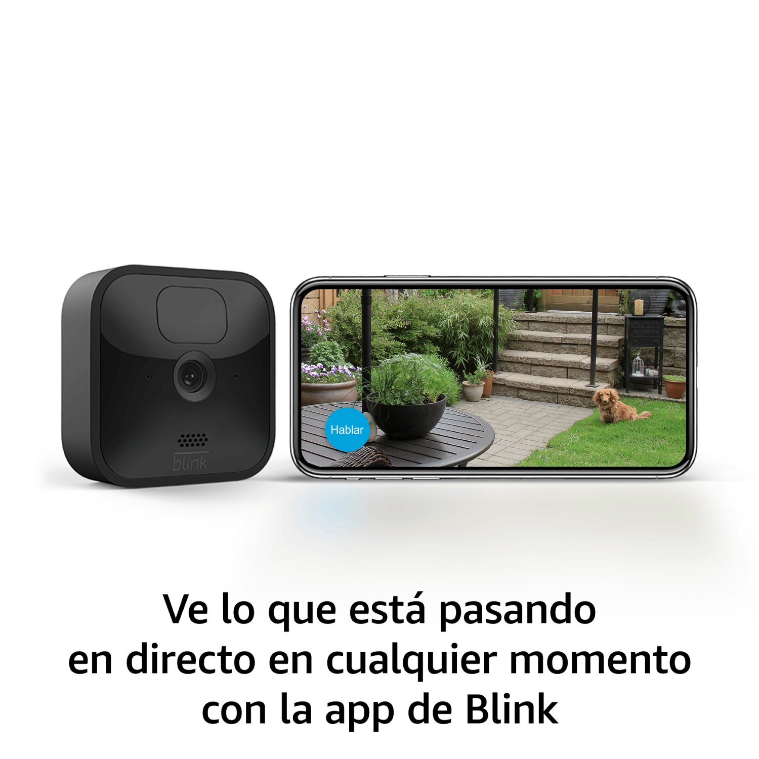 Cámara Blink negra y teléfono mostrando una escena del jardín. Texto: Vea lo que sucede en vivo con la aplicación Blink.