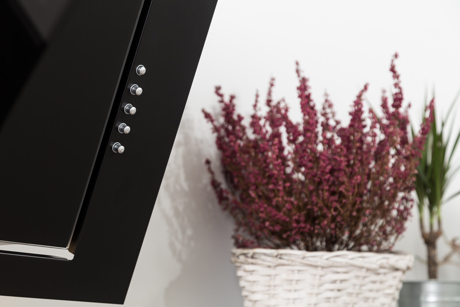 Czarny okap z przyciskami obok roślin doniczkowych.