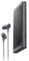 Odtwarzacz MP3 SONY Walkman NW-A55LB Czarny