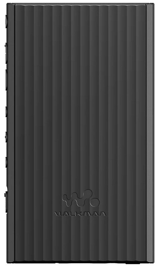 Odtwarzacz przenośny SONY NW-A306 Czarny