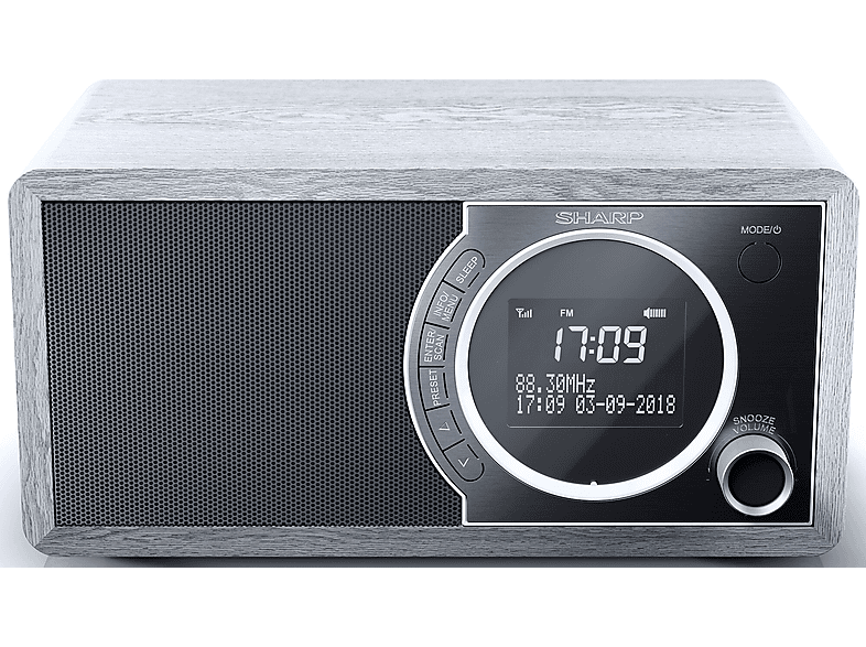 Radio Digitale Sharp DR-450 - Bluetooth, DAB+ E FM Con Sveglia - Design In Acciaio Inox