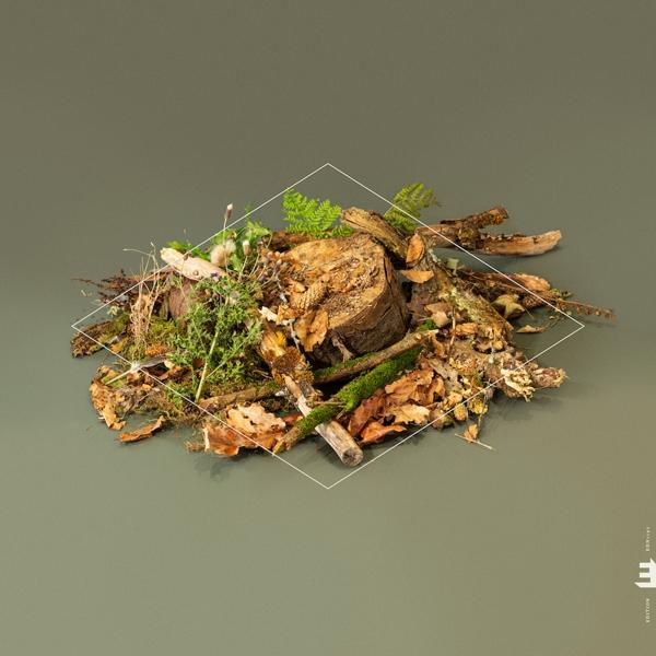 Fergus Mccreadie Forest Floor (Vinyl) - 