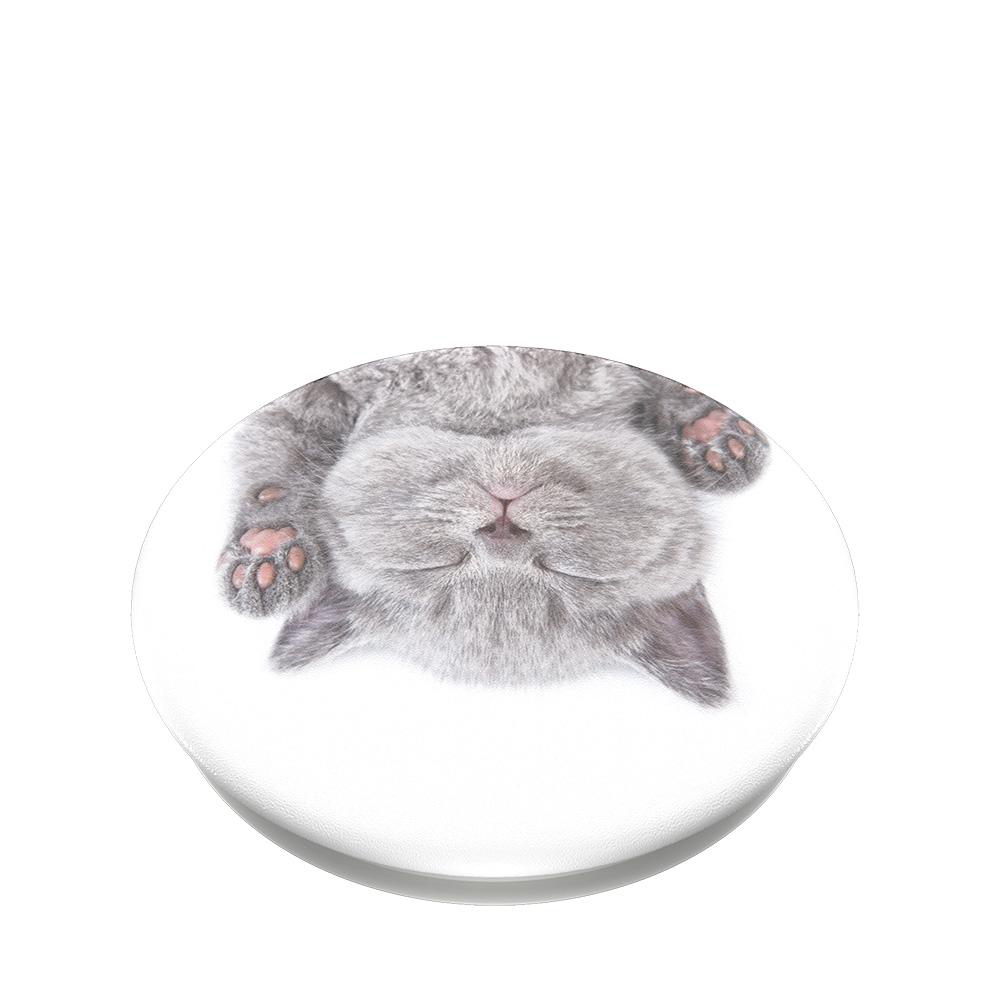 Cat PopGrip Nap POPSOCKETS Handyhalterung,