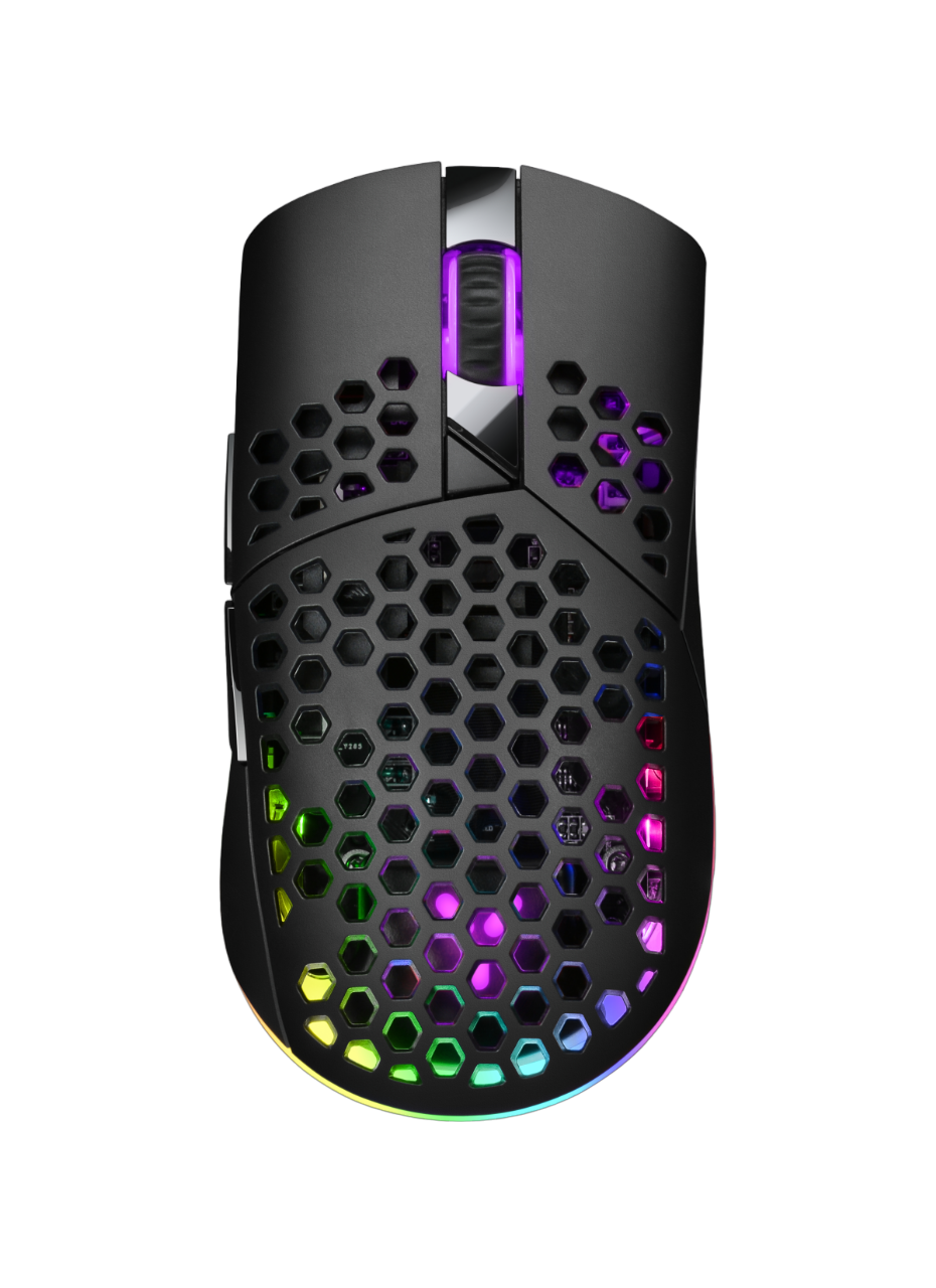 Eine schwarze Gaming-Maus mit Wabenmuster und farbenfroher RGB-Beleuchtung.