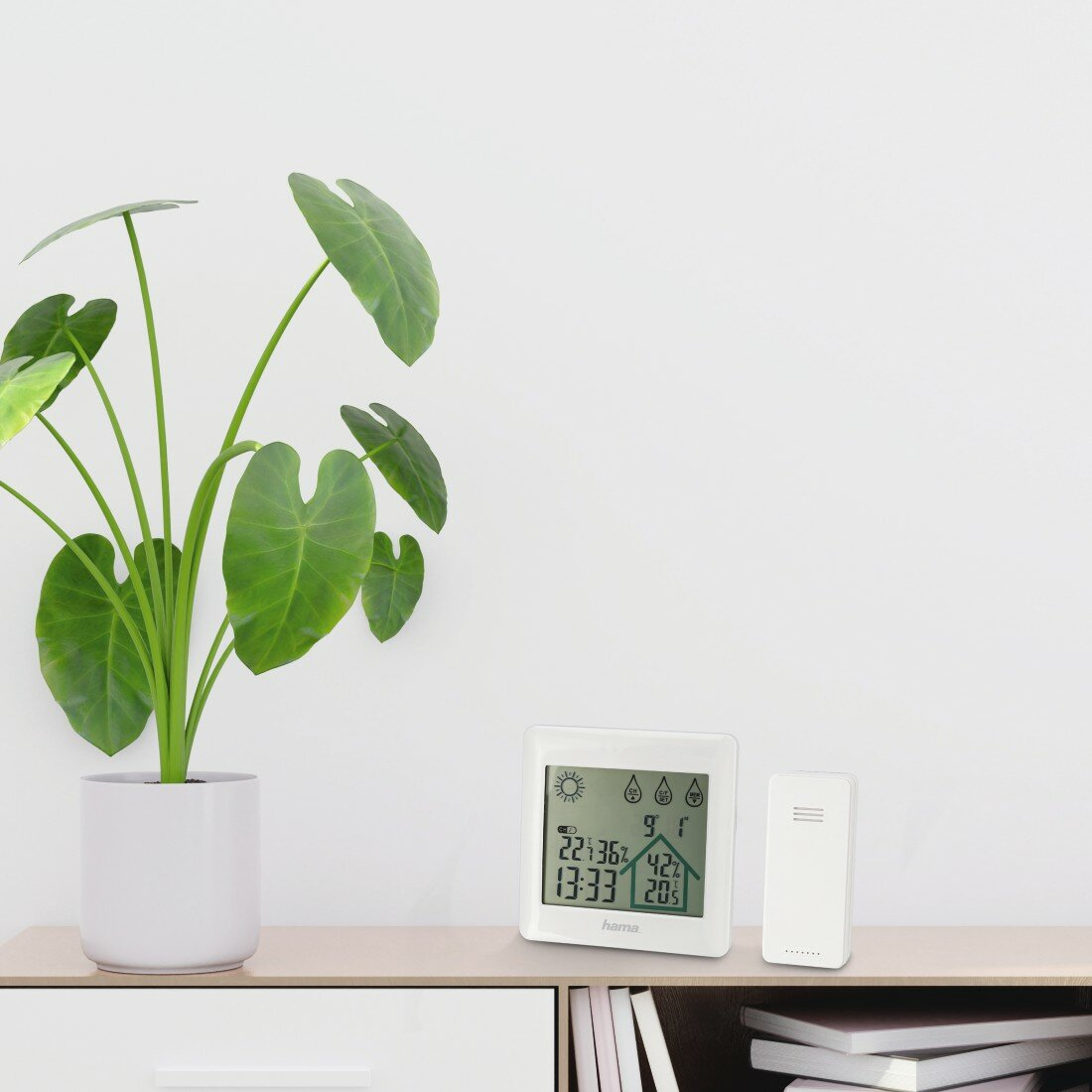 Roślina w białej doniczce. Cyfrowa stacja pogodowa i czujnik zdalny na półce.