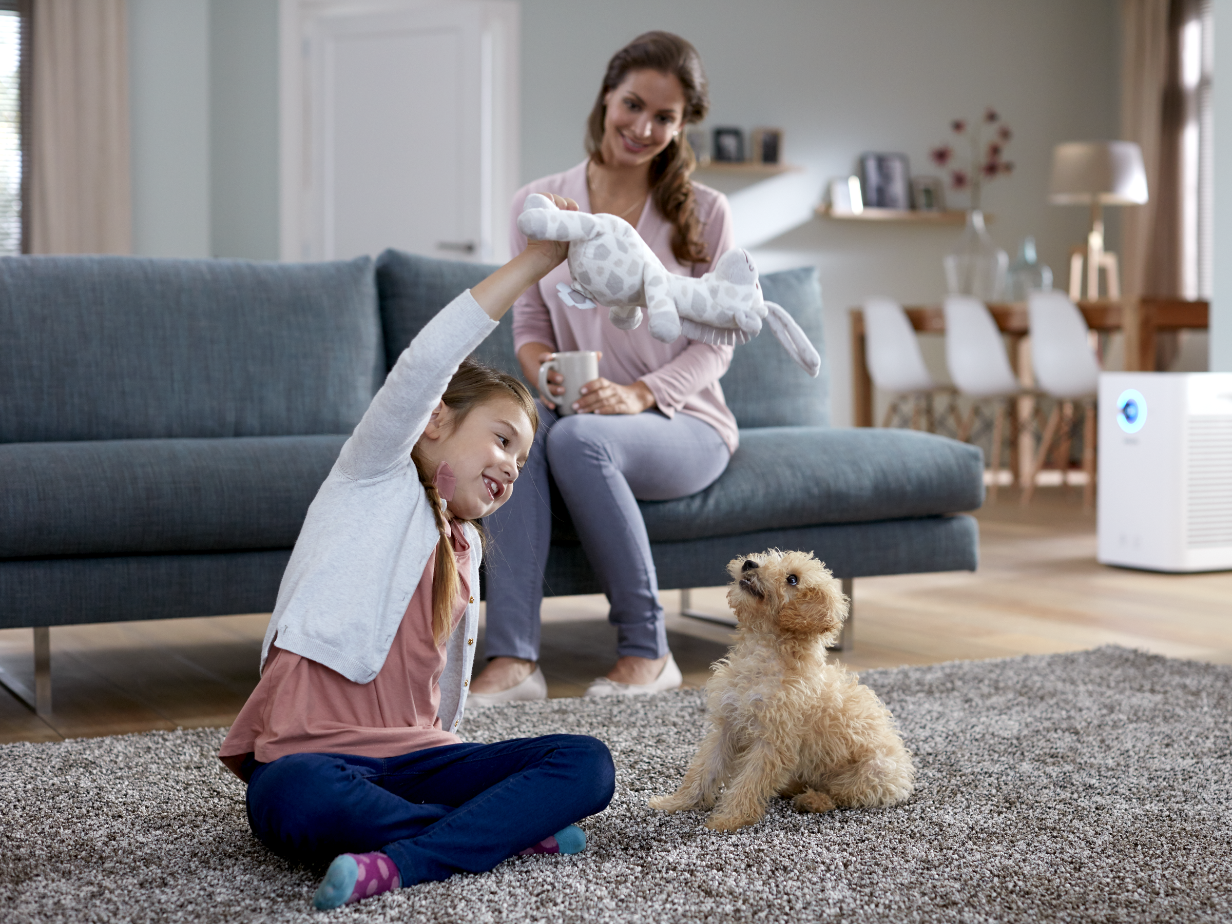 Oczyszczacz powietrza PHILIPS Seria 6000 AC6608/10