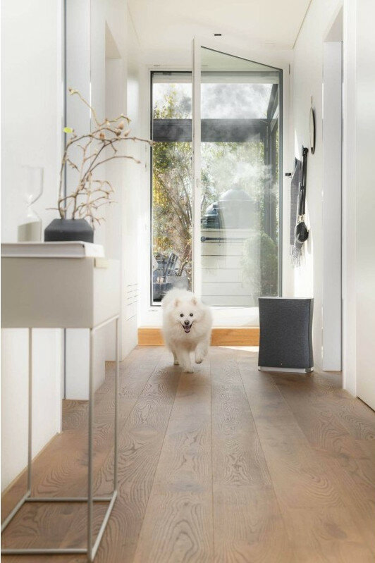 Oczyszczacz powietrza STADLER FORM ROGER LITTLE 2 Czarny