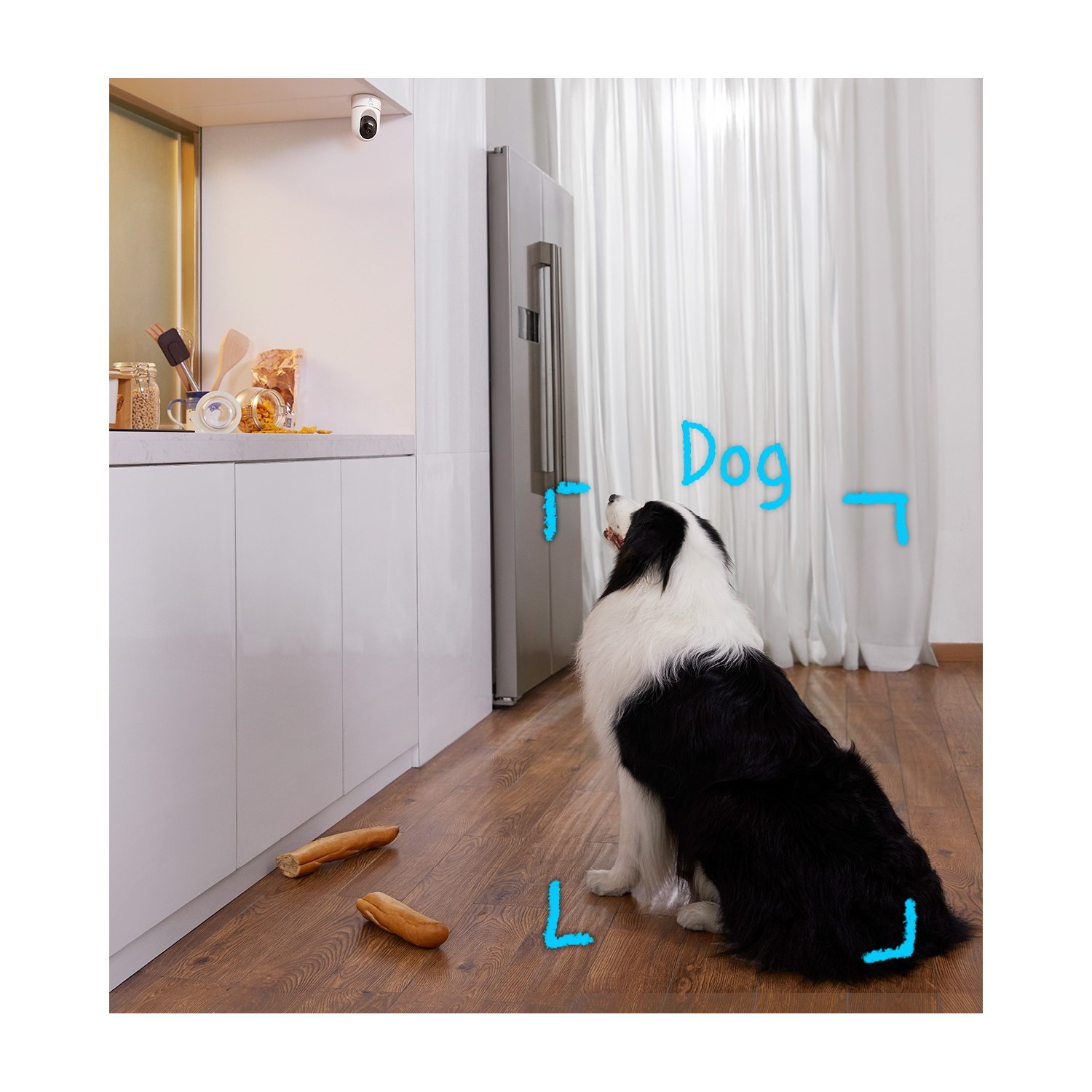 Un chien assis sur un sol en bois, avec une caméra de sécurité en arrière-plan. Le mot 'Chien' est étiqueté.