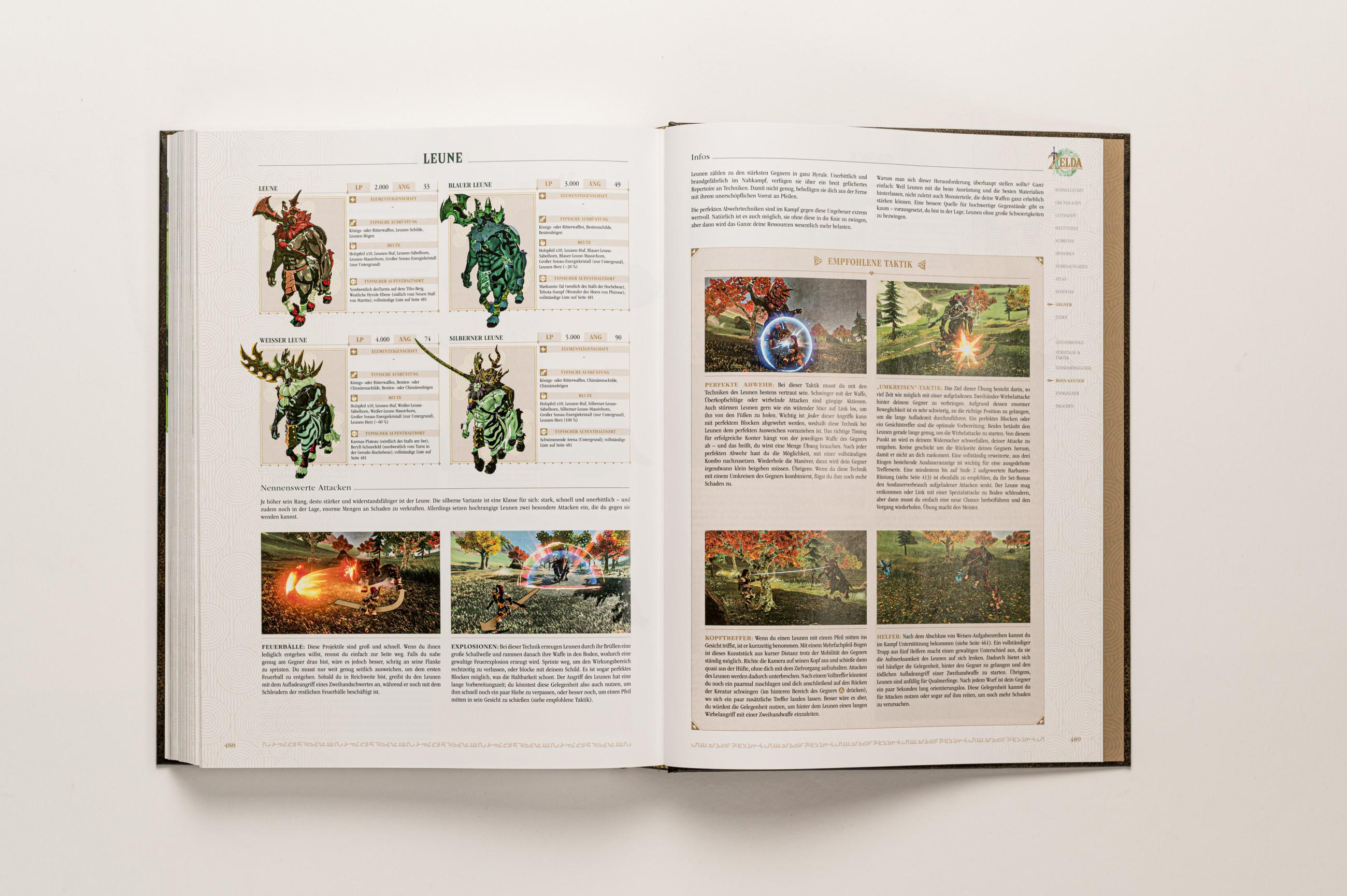 Offenes Buch mit Illustrationen und Text, konzentriert auf Spielstrategien.