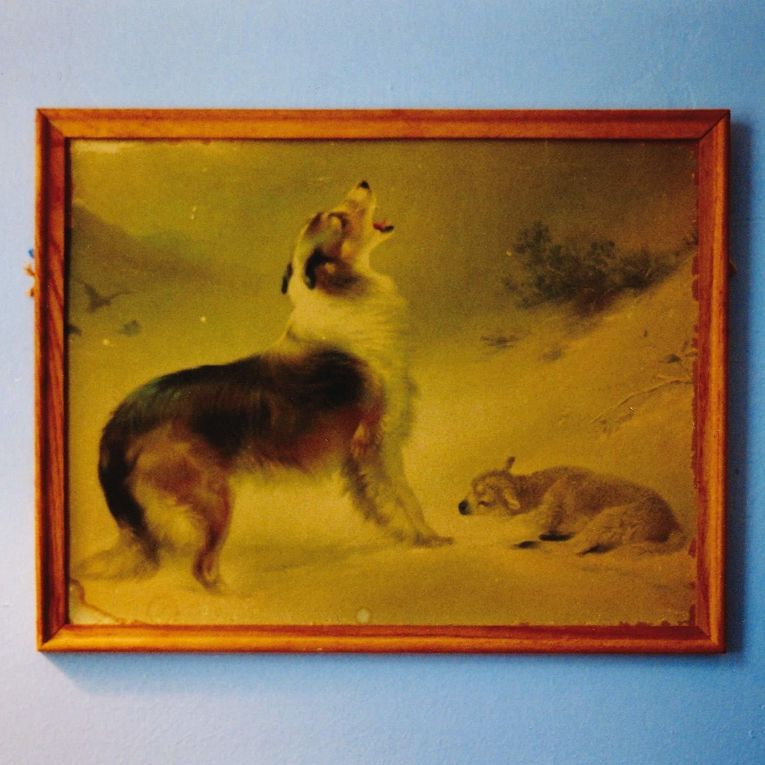 Explosion In The Sky - The Rescue-Anniversary Edition  - (Vinyl)