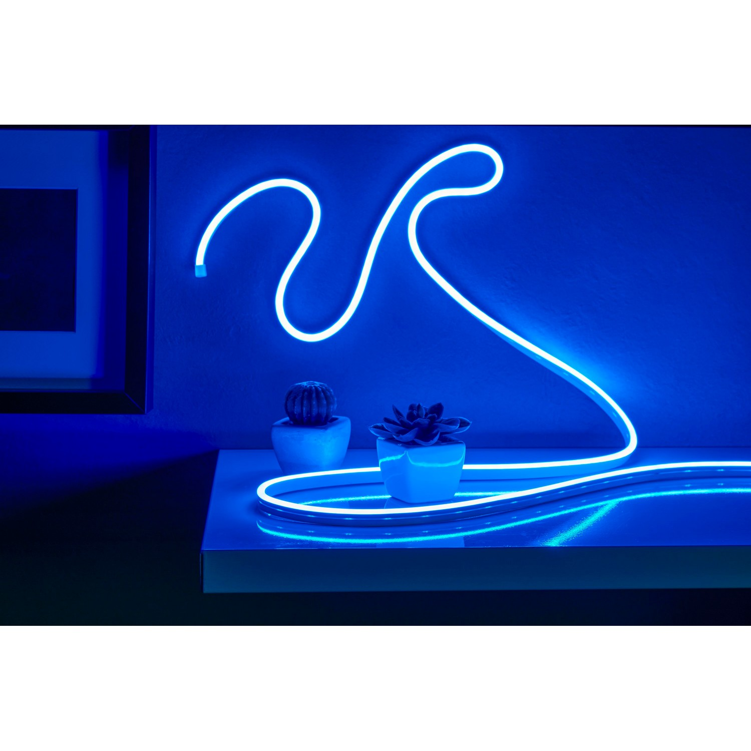 Een neonblauw bord met twee planten op een plank.
